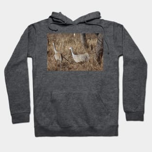 Michigan Sandhill Cranes Hoodie